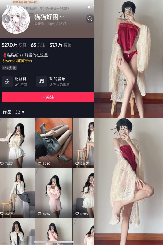 抖音 猫猫好困 微密圈  NO.012期 【9P】-微密空间-全网最全抖音网红铁粉空间觅圈