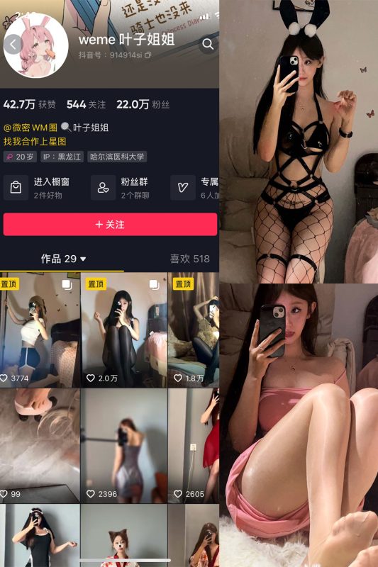 抖音 叶子姐姐 微密圈  NO.002期 【35P】-微密空间-全网最全抖音网红铁粉空间觅圈