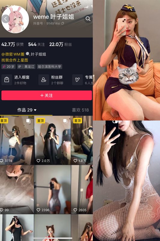 抖音 叶子姐姐 微密圈  NO.005期 【19P9V】-微密空间-全网最全抖音网红铁粉空间觅圈