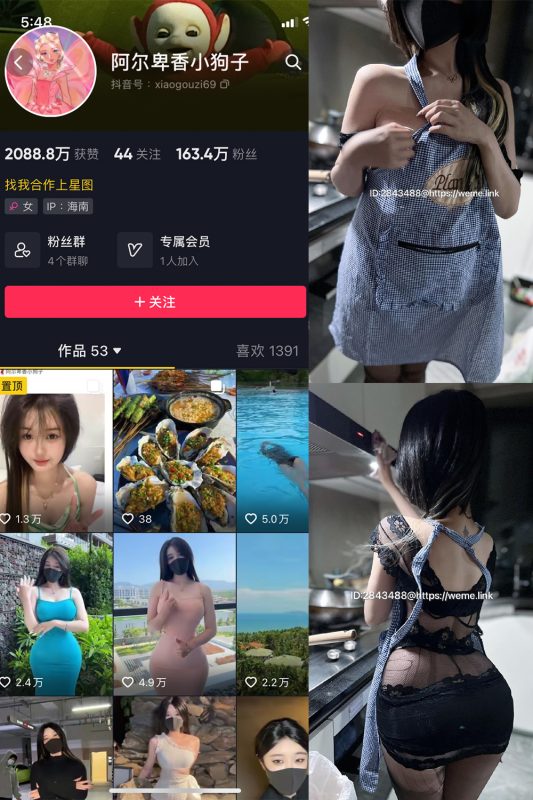 抖音 阿尔卑香小狗子 微密圈  NO.009期 【37P】最新至：2023.6.16-微密空间-全网最全抖音网红铁粉空间觅圈