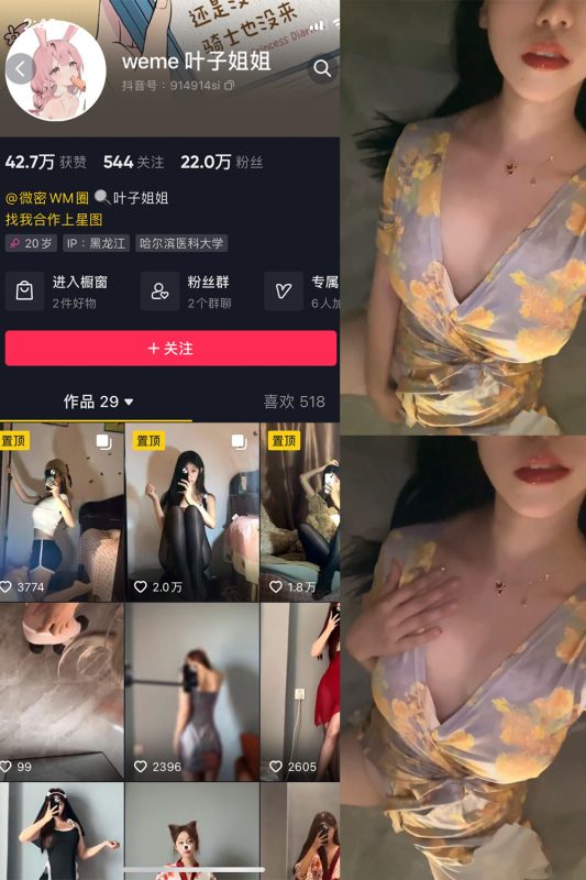 抖音 叶子姐姐 微密圈  NO.016期 【2V】最新至：2023.6.17-微密空间-全网最全抖音网红铁粉空间觅圈