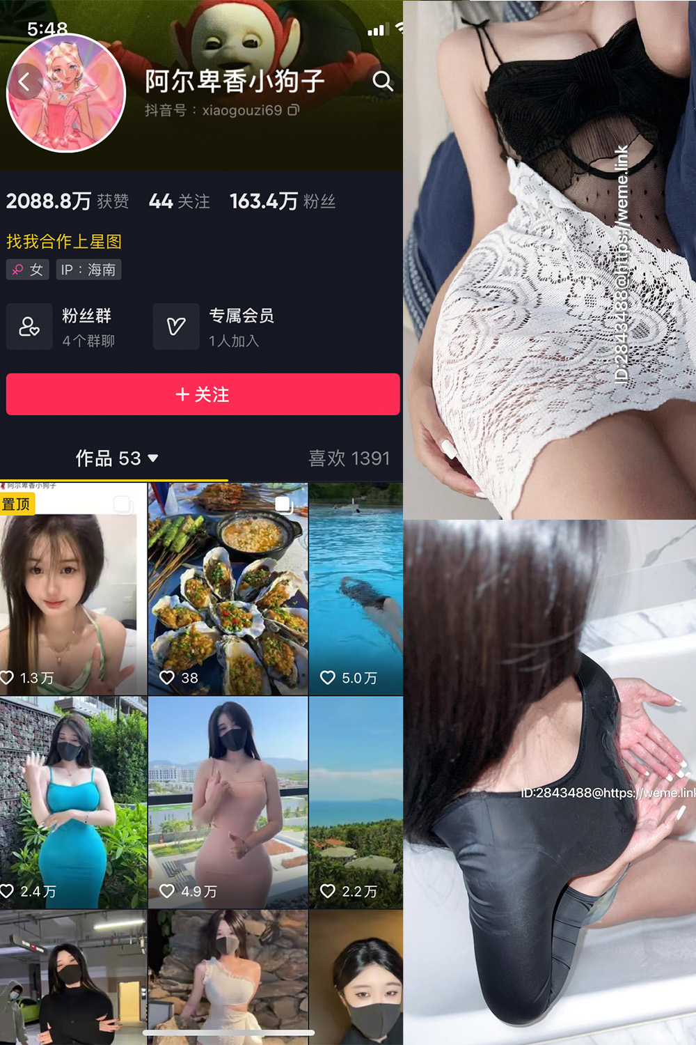 抖音 阿尔卑香小狗子 微密圈  NO.011期 【36P1V】最新至：2023.7.6-微密空间-全网最全抖音网红铁粉空间写真