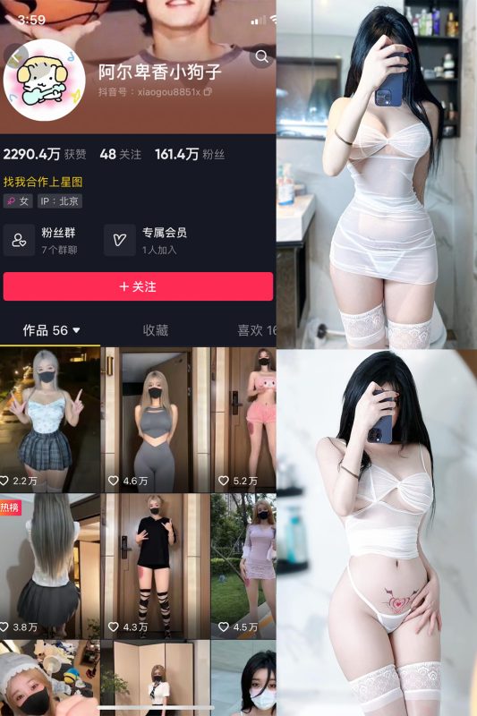 抖音 阿尔卑香小狗子 微密圈  NO.022期 【9P】最新至：2023.9.7-微密空间-全网最全抖音网红铁粉空间觅圈