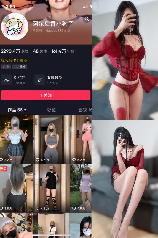 抖音 阿尔卑香小狗子 微密圈  NO.025期 【10P2V】最新至：2023.9.20-微密空间-全网最全抖音网红铁粉空间觅圈