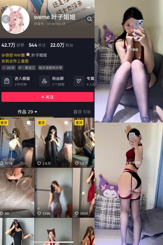 抖音 叶子姐姐 微密圈  NO.025期 【35P3V】最新至：2024.5.9-微密空间-全网最全抖音网红铁粉空间觅圈