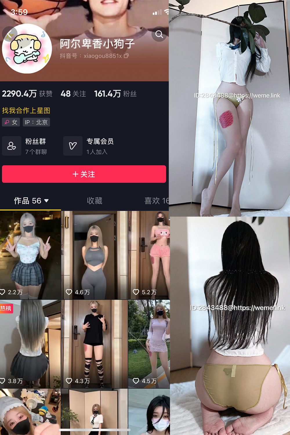 抖音 阿尔卑香小狗子 微密圈  NO.047期 【39P】最新至：2024.6.10-微密空间-全网最全抖音网红铁粉空间写真