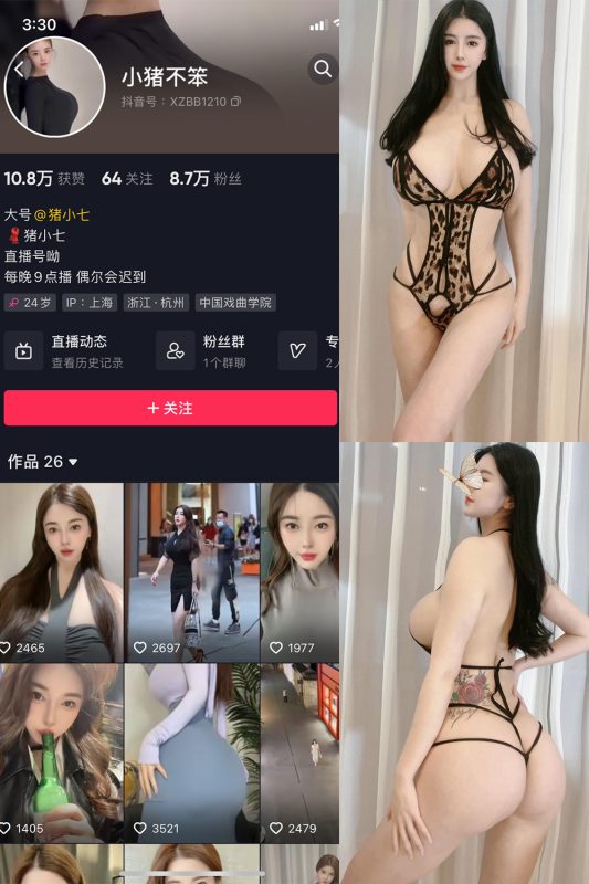 抖音 小猪不笨 微密圈 NO.006期 【76P17V】-微密空间-全网最全抖音网红铁粉空间觅圈