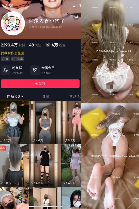 抖音 阿尔卑香小狗子 微密圈  NO.054期 【16P1V】最新至：2024.8.9-微密空间-全网最全抖音网红铁粉空间觅圈