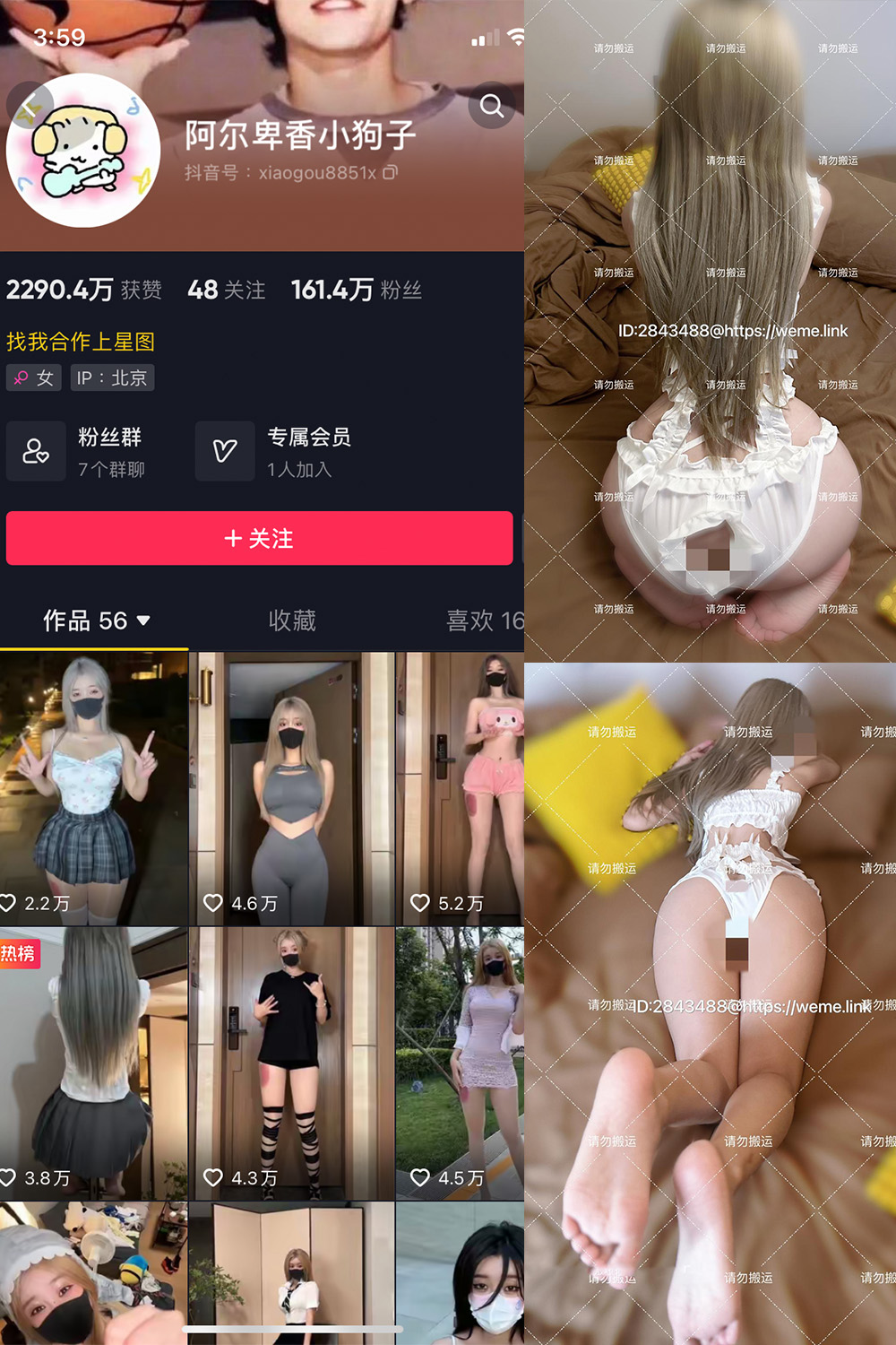 抖音 阿尔卑香小狗子 微密圈  NO.054期 【16P1V】最新至：2024.8.9-微密空间-全网最全抖音网红铁粉空间写真