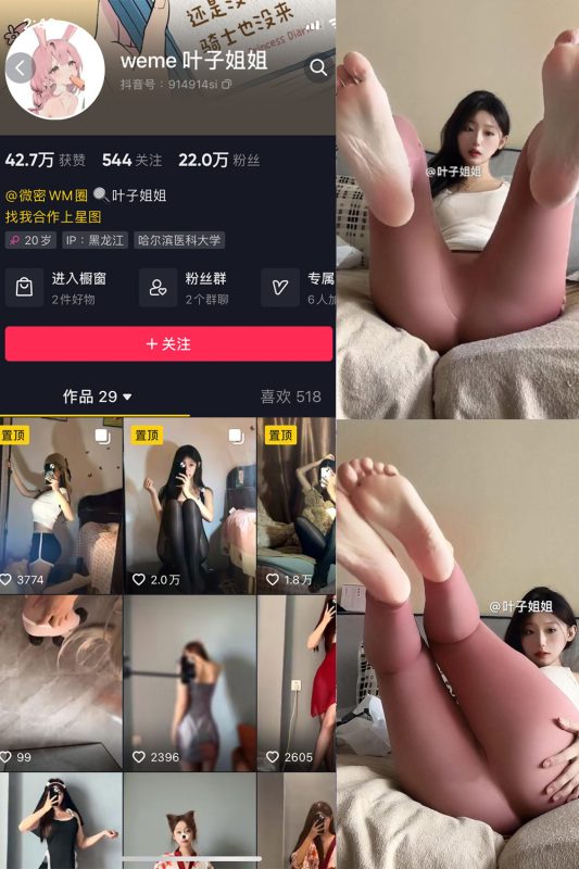 抖音 叶子姐姐 微密圈 NO.027期 【17P3V】最新至：2024.8.24-微密空间-全网最全抖音网红铁粉空间觅圈