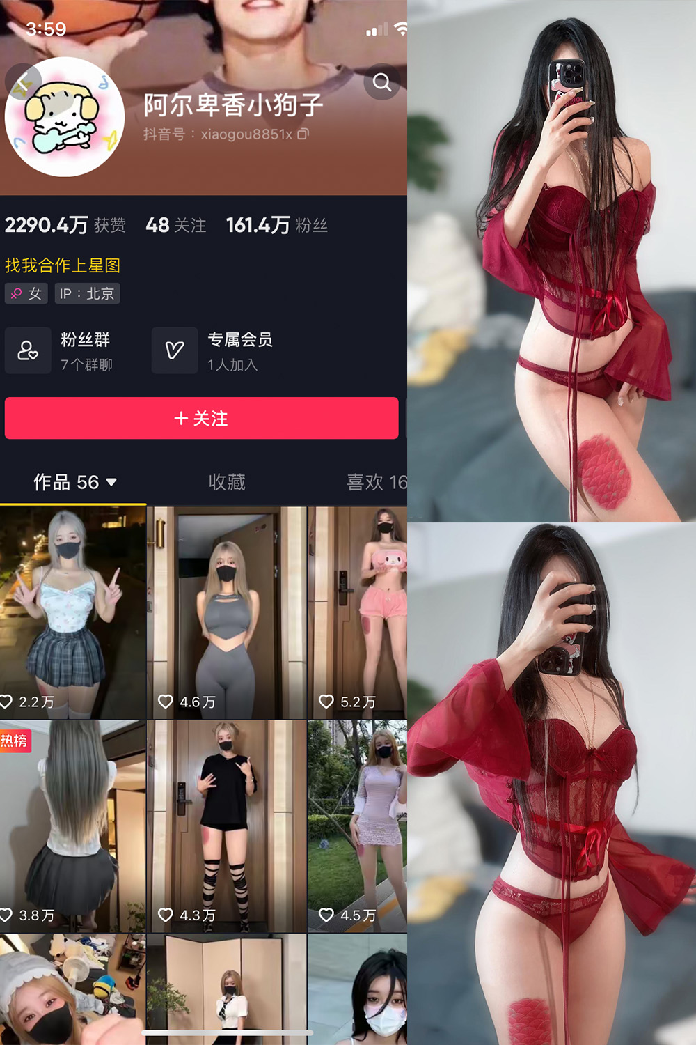 抖音 阿尔卑香小狗子 微密圈  NO.056期 【10P2V】最新至：2024.8.25-微密空间-全网最全抖音网红铁粉空间写真