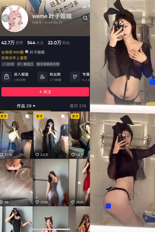 抖音 叶子姐姐 微密圈 NO.029期 【17P9V】最新至：2024.9.2-微密空间-全网最全抖音网红铁粉空间觅圈