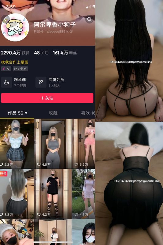 抖音 阿尔卑香小狗子 微密圈  NO.057期 【36P1V】最新至：2024.9.3-微密空间-全网最全抖音网红铁粉空间觅圈