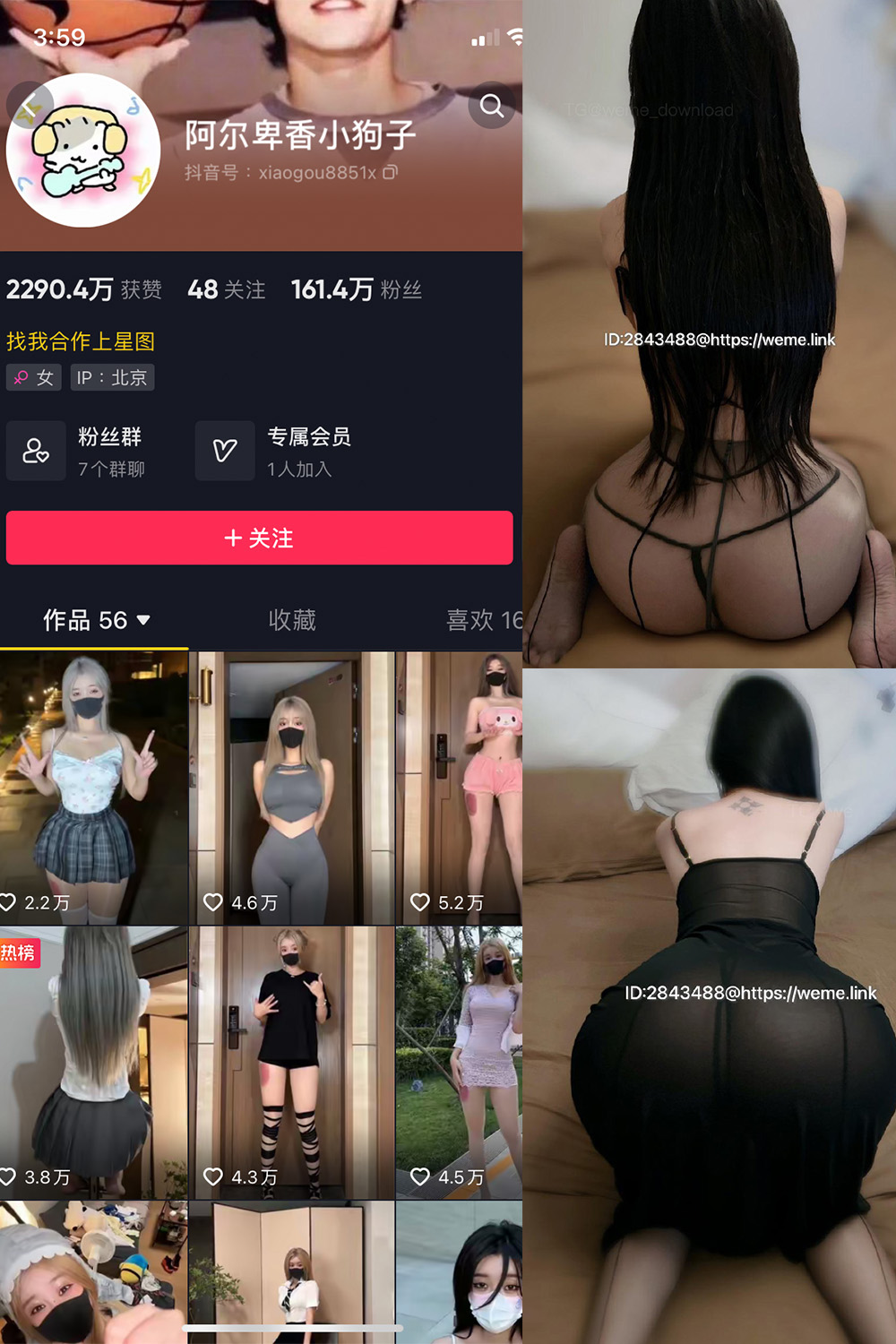 抖音 阿尔卑香小狗子 微密圈  NO.057期 【36P1V】最新至：2024.9.3-微密空间-全网最全抖音网红铁粉空间写真