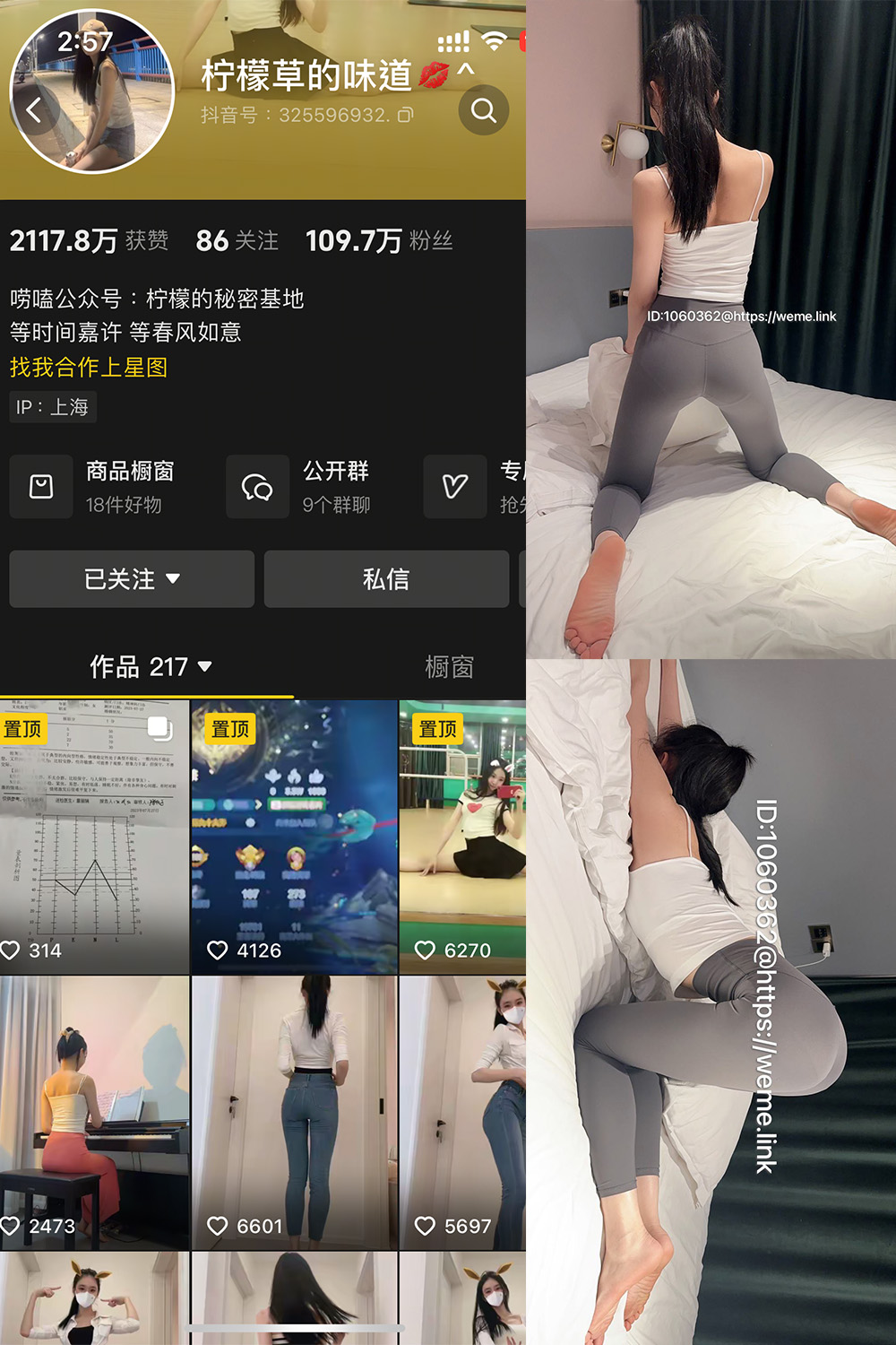 抖音 柠檬草的味道 微密圈  NO.002 【85P2V】-微密空间-全网最全抖音网红铁粉空间写真