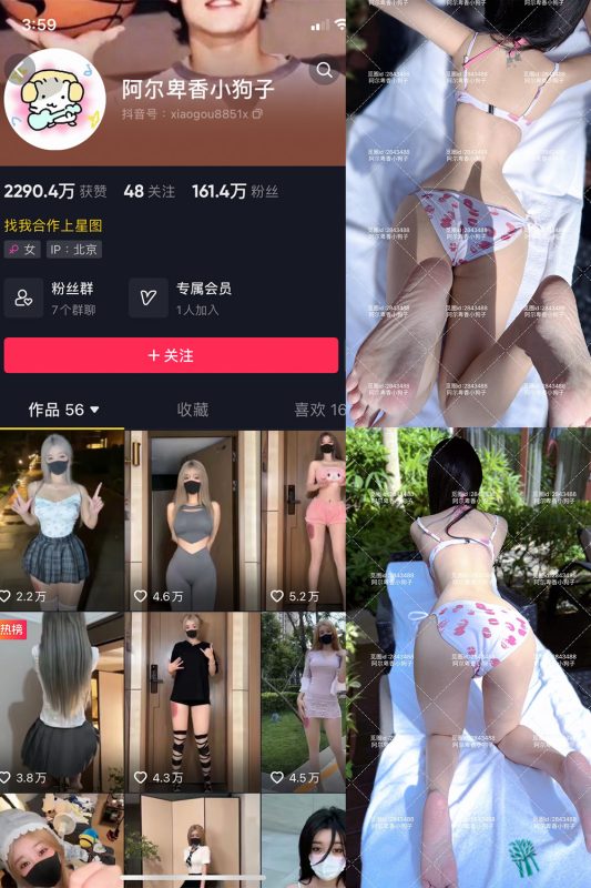 抖音 阿尔卑香小狗子 微密圈  NO.060期 【17P】最新至：2025.2.8-微密空间-全网最全抖音网红铁粉空间觅圈