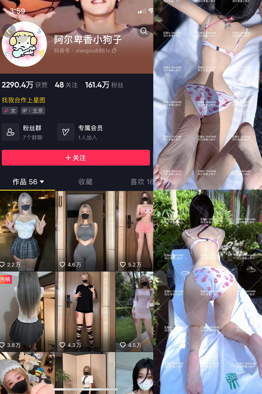 抖音 阿尔卑香小狗子 微密圈  NO.060期 【17P】最新至：2025.2.8-微密空间-全网最全抖音网红铁粉空间写真